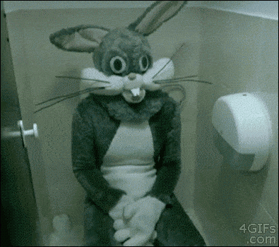 Bunny-Time.gif