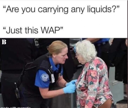 WAP Song Meme Any Liquids Grandma