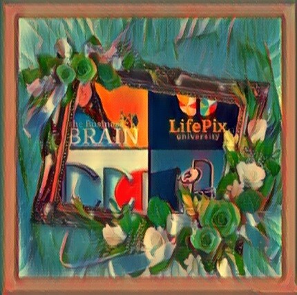 The business brain podcast by ST Rappaport of LifePix University guest trainer Richard Blank